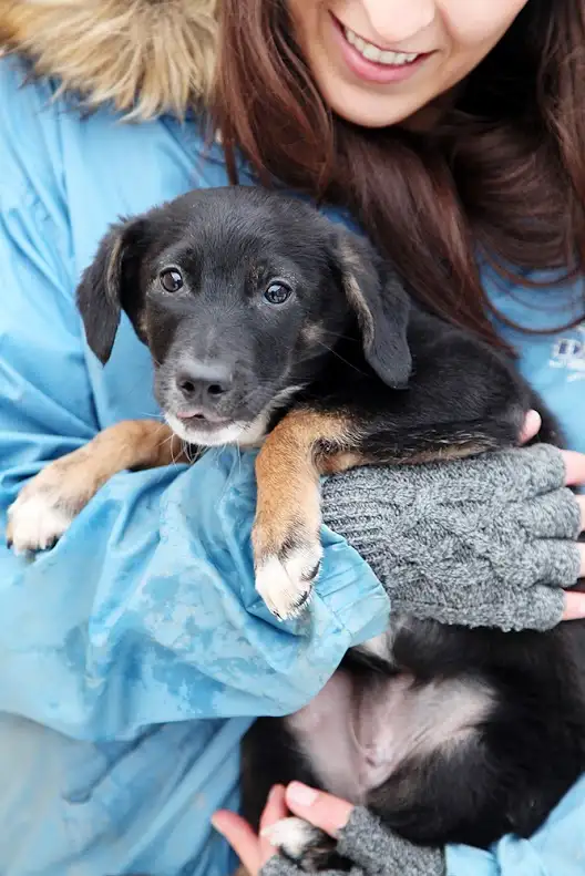 Собака Бублик - фото 5