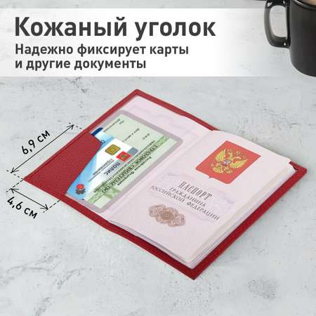 Обложка на документы Brauberg