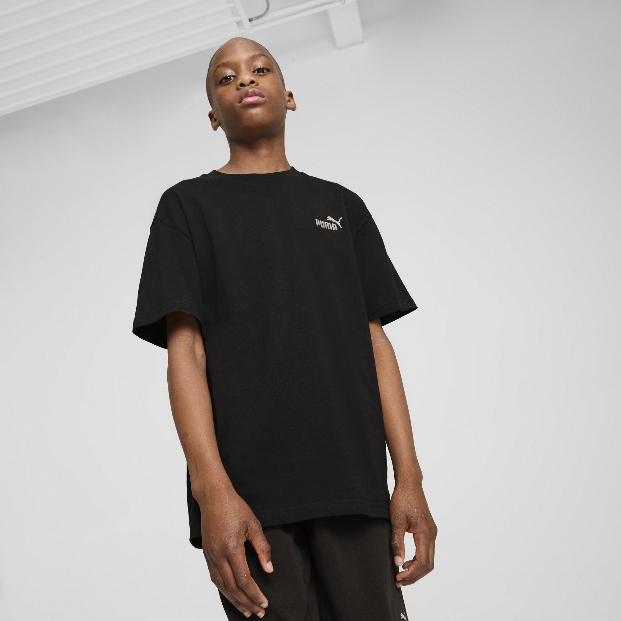 Футболка Puma 68492001 - фото 1