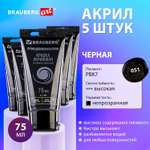 Краски акриловые Brauberg 5 цв.
