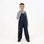 Полукомбинезон Arctic kids