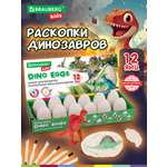 Набор для раскопок Brauberg