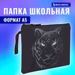 Папка для тетрадей Brauberg