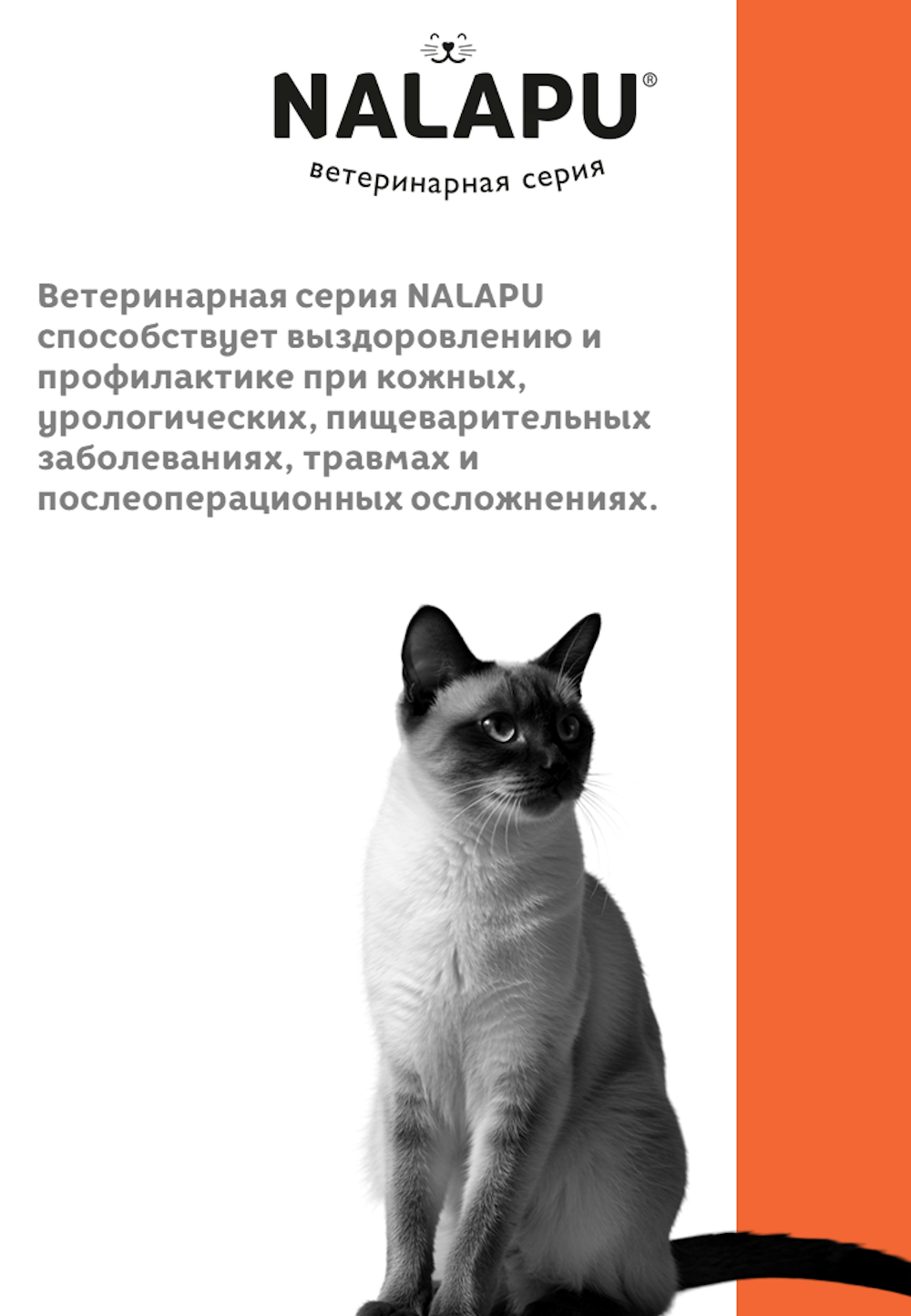 Корм для кошек NALAPU Renal для кошек для профилактики заболеваний почек 77г - фото 4