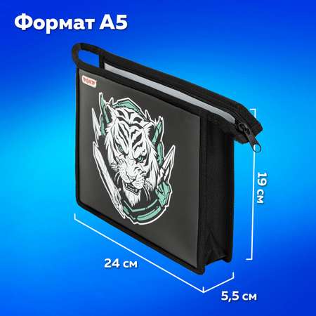 Папка для труда Пифагор А5