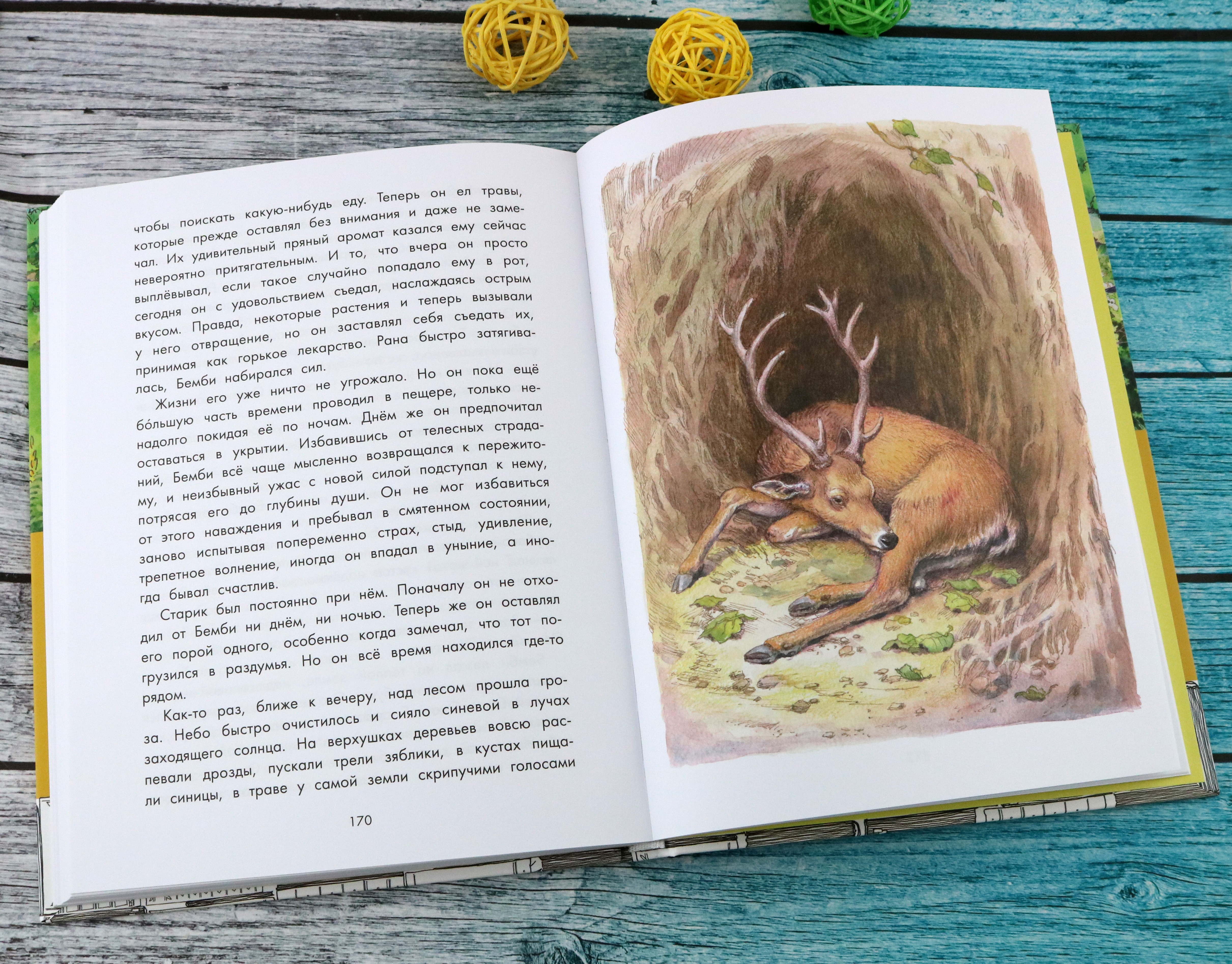 Книга Качели Бемби - фото 4