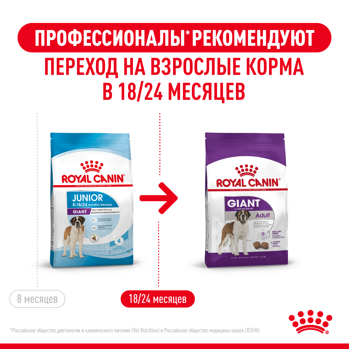 Корм для щенков ROYAL CANIN гигантских пород 8-24месяцев 15кг - фото 11