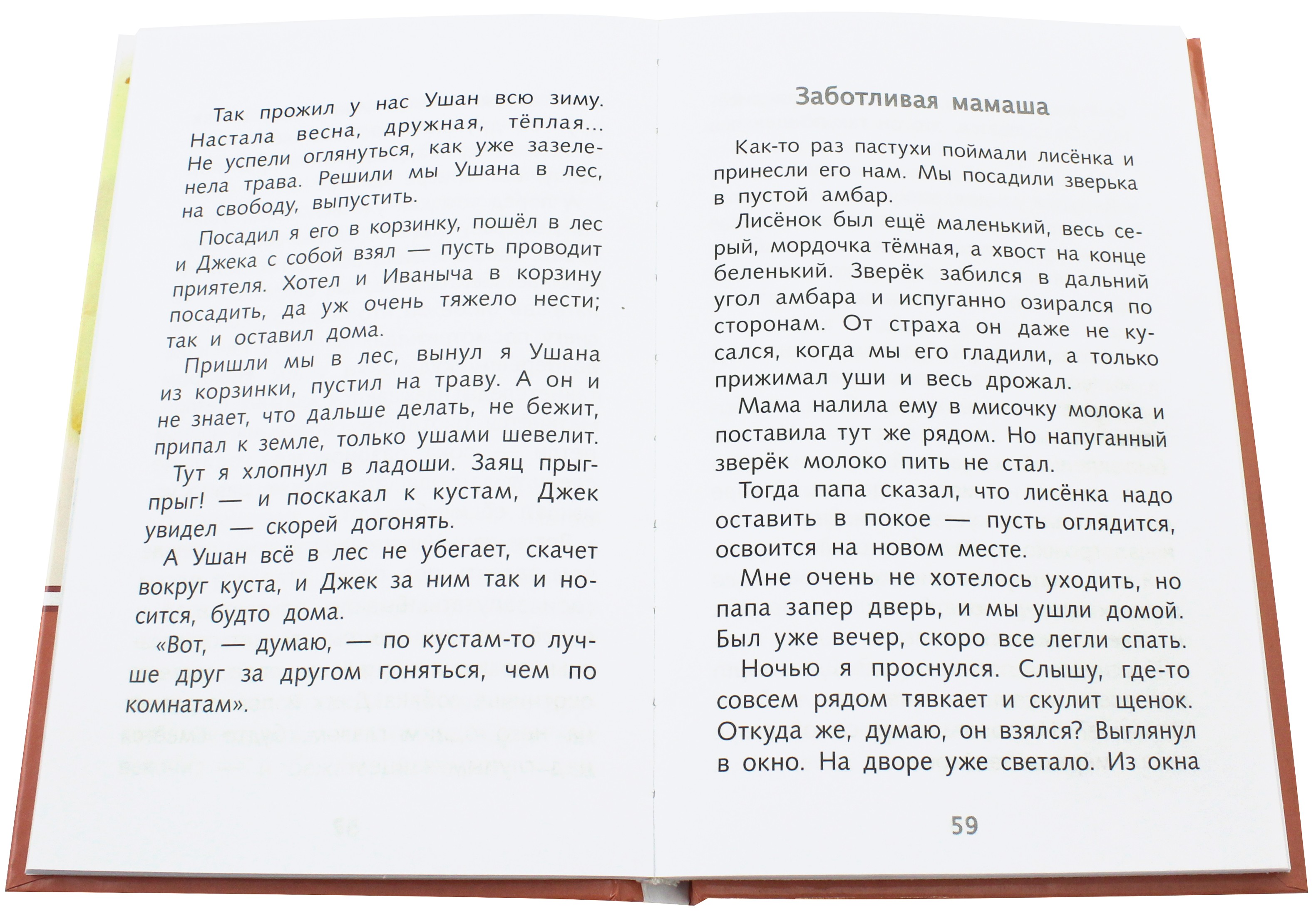 Книга Стрекозa Лесное эхо - фото 2