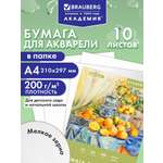 Художественная бумага Brauberg для акварели 10 лист.