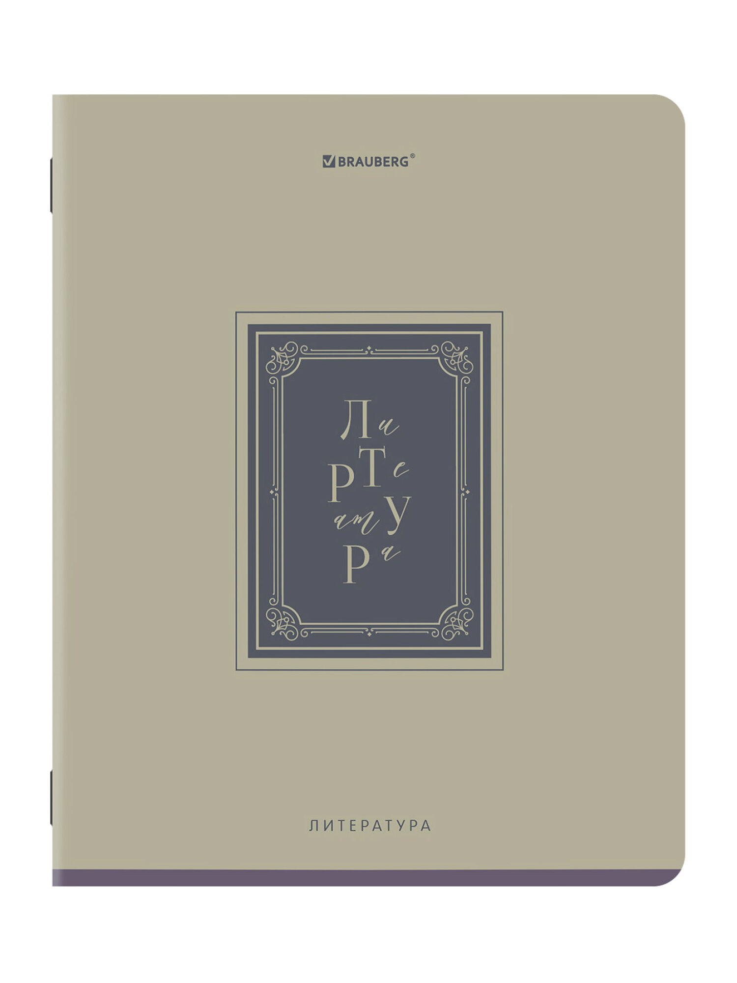 Тетрадь Brauberg 48 лист. 12 шт. - фото 14