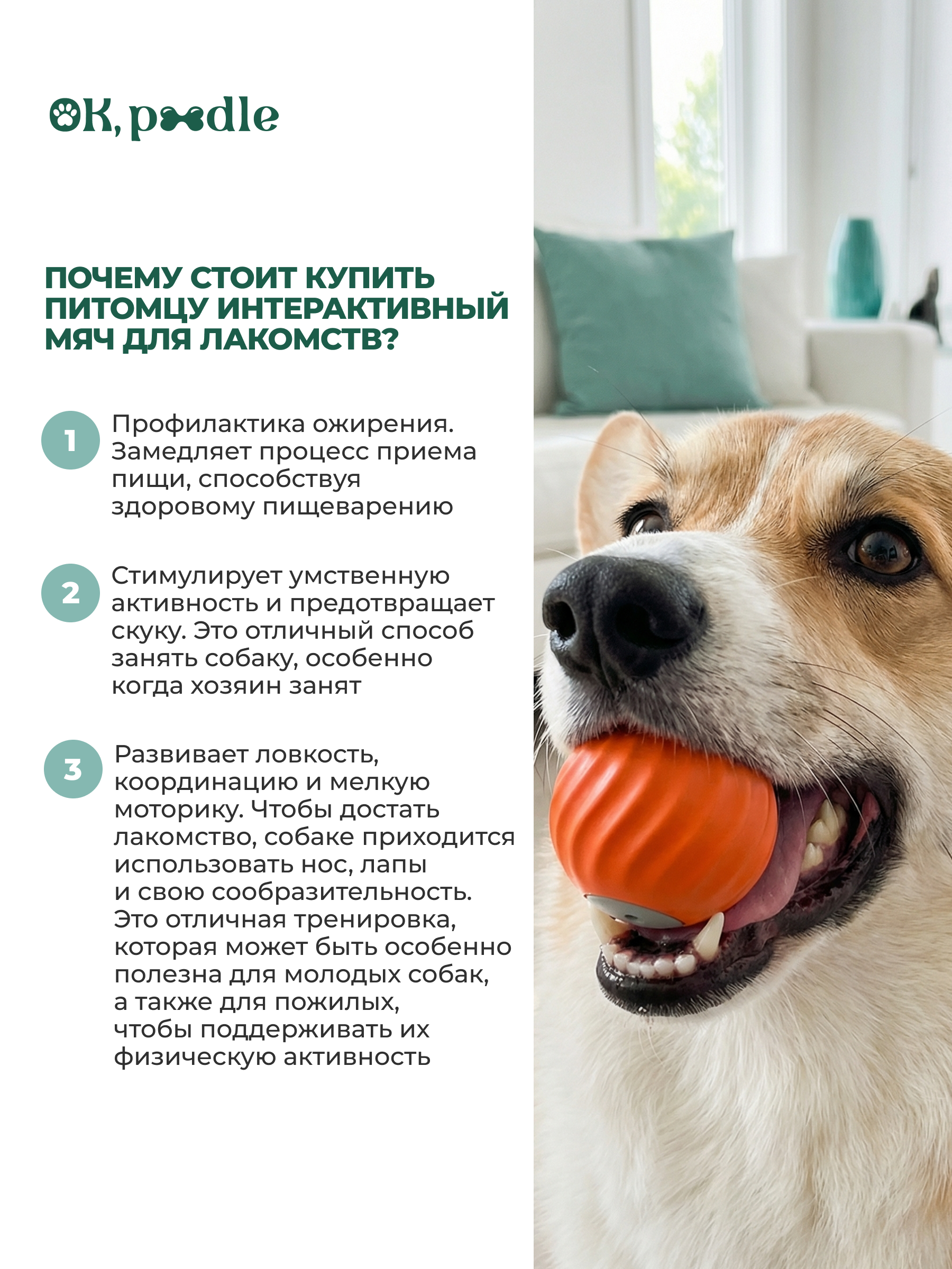 Игрушка интерактивная для собак Ok, Poodle умный мяч - фото 6