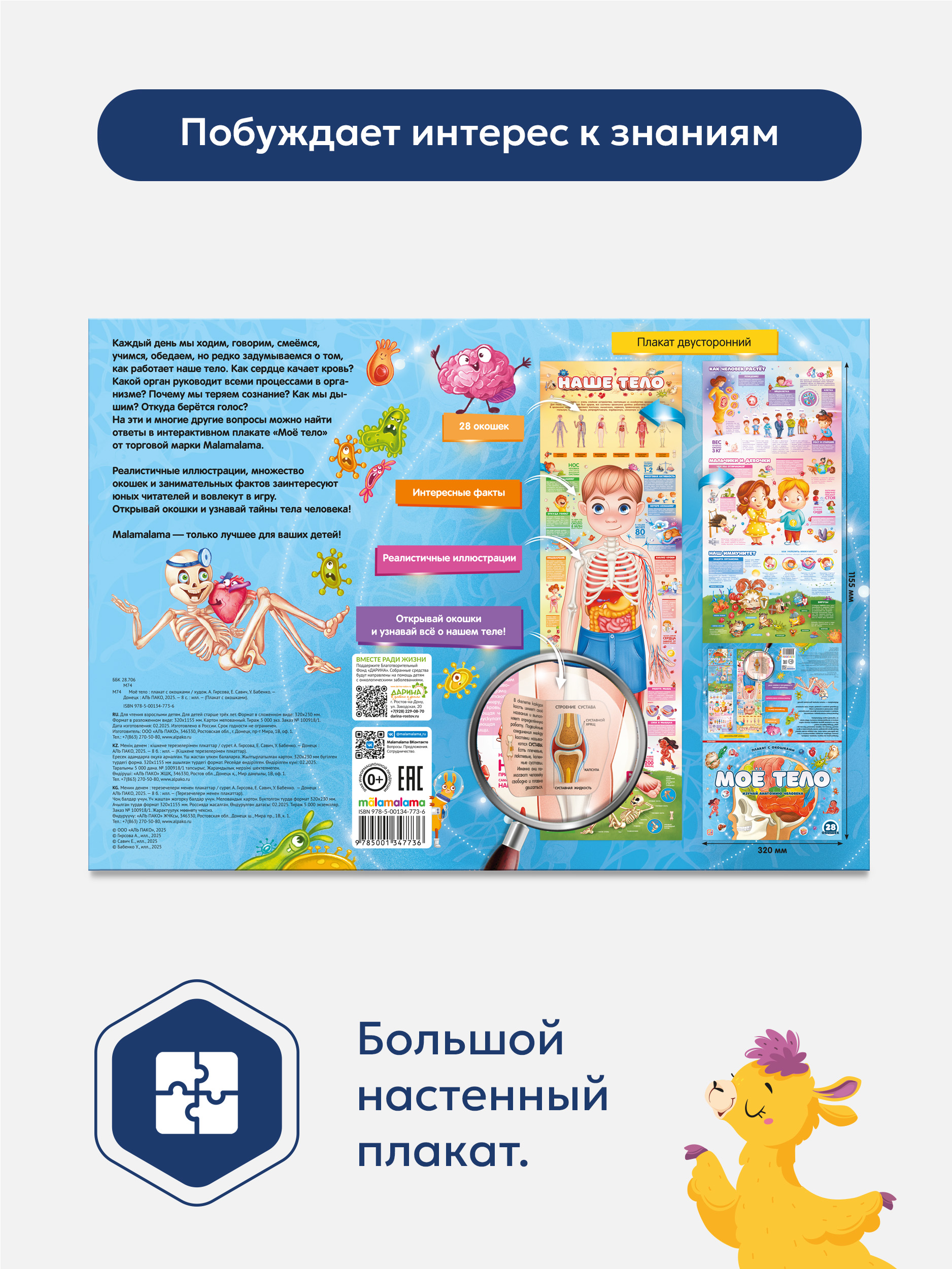 Плакат Malamalama с окошками Наше тело - фото 9