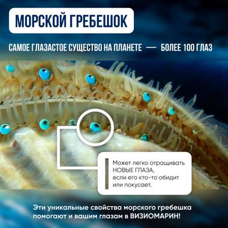 Визиомарин Доктор Море Комплексная поддержка зрения 60 капсул