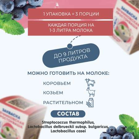 Закваска для мечниковской простокваши Полезная Партия 3 порции