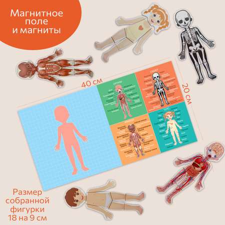 Настольная игра Бигр Тело человека