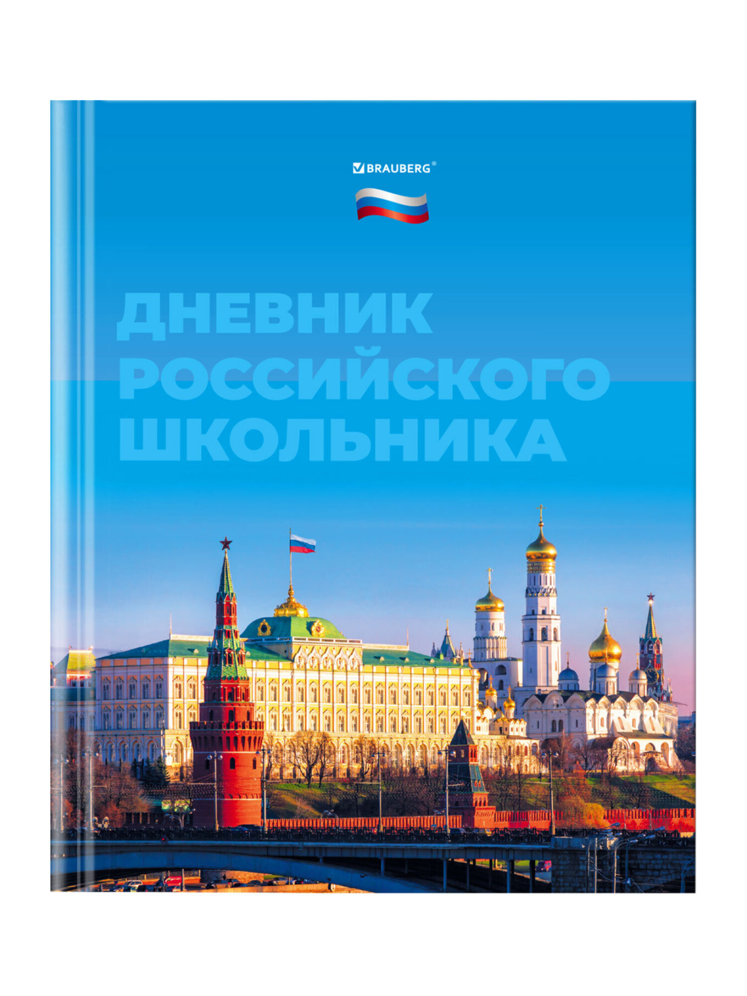 Дневник школьный Brauberg 1-11 класс Россия канцелярия - фото 7