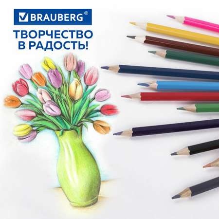 Карандаши цветные Brauberg 12 шт.
