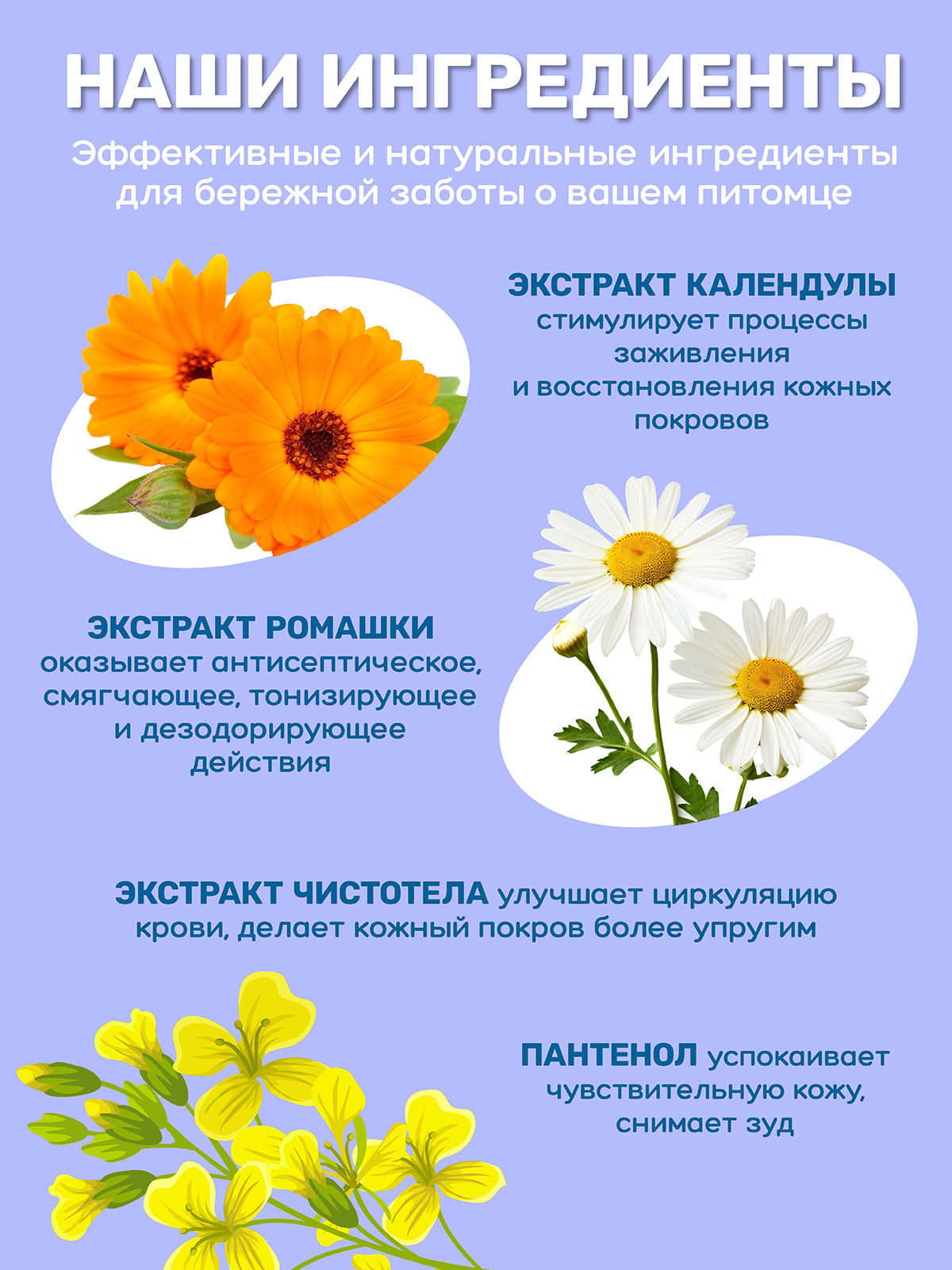 Шампунь для щенков и котят ZOORIK от блох и клещей инсектицидный 250 мл - фото 5