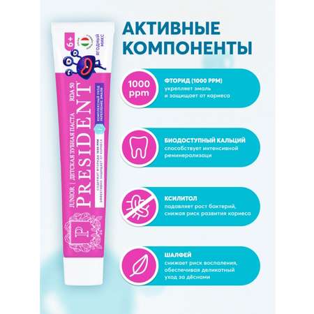 Зубная паста President Ягоды 70 г