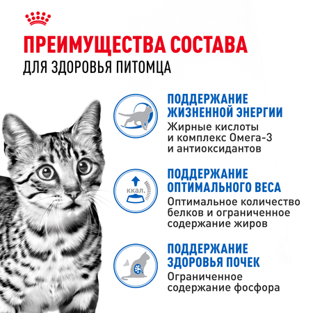 Корм для кошек ROYAL CANIN Indoor 85г для пожилых стерилизованных кошек 7+ соус пауч