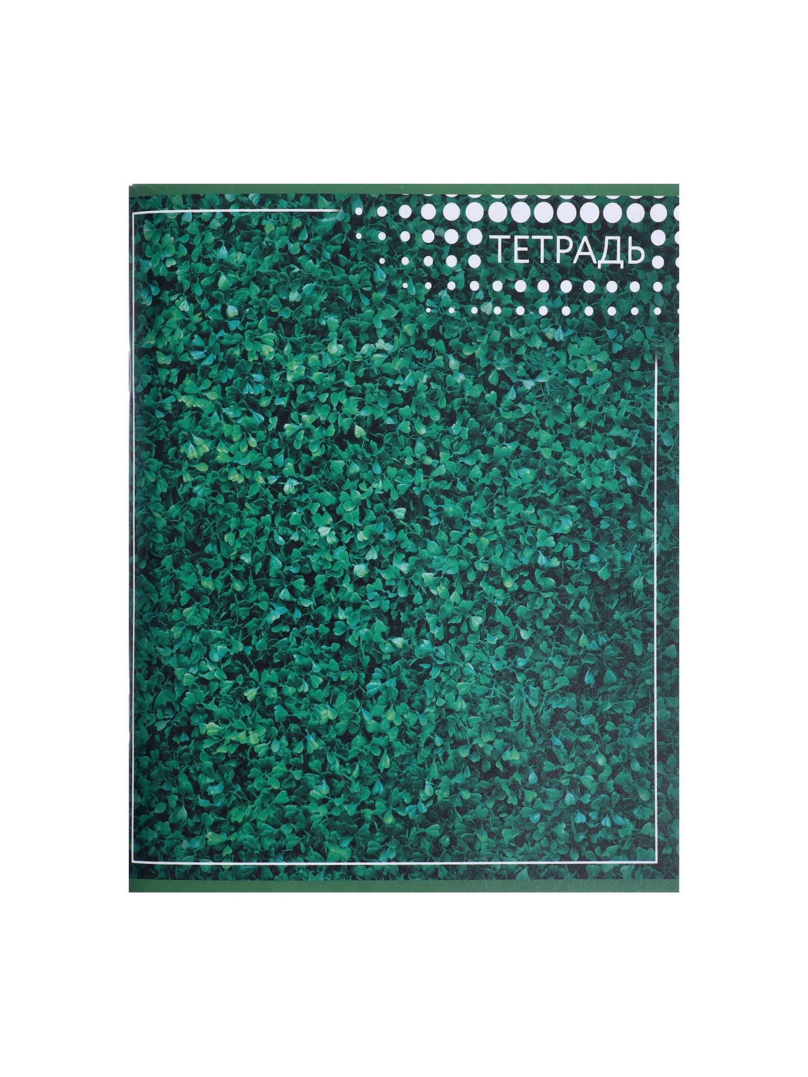 Тетрадь Calligrata клетка - фото 8