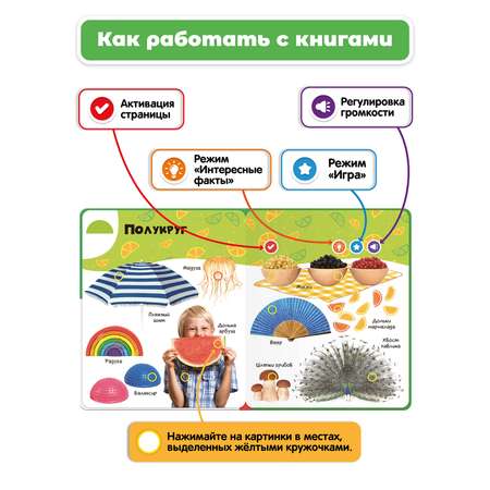 Комплект говорящих книжек BertToys Нажималки: Формы + Цвета