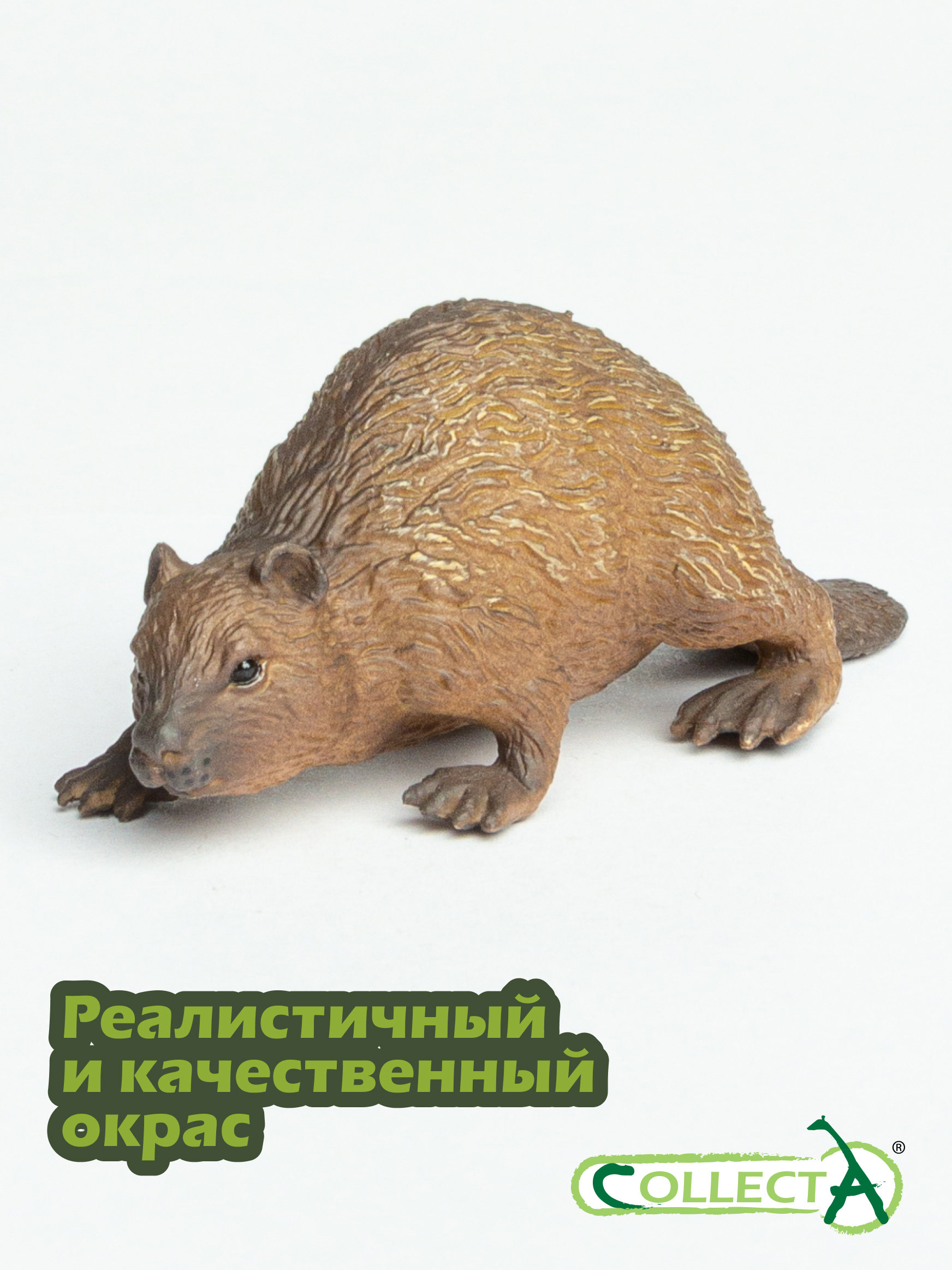 Фигурка Collecta Бобер - фото 4