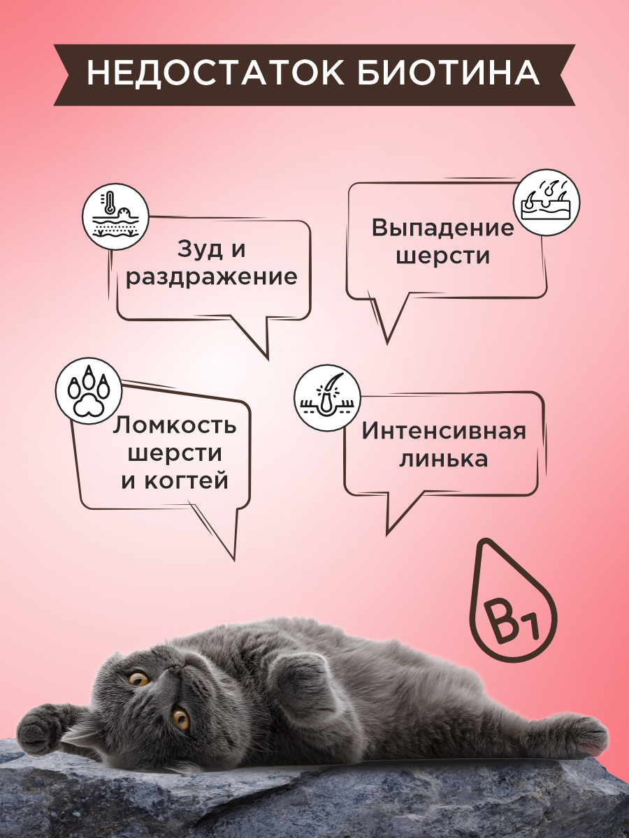 Полезное лакомство для кошек GOODR CAT со вкусом альпийской говядины 90 таблеток - фото 4