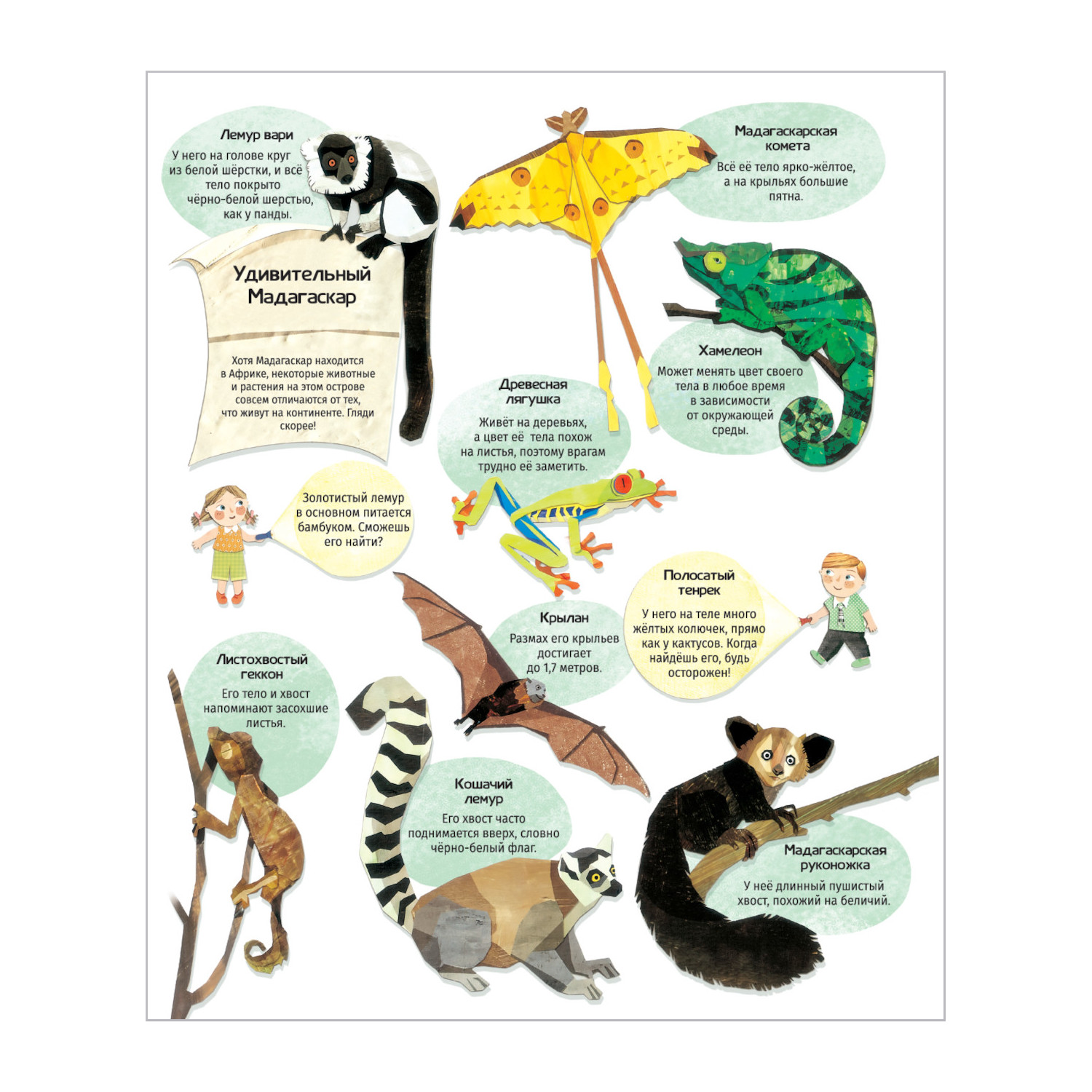 Книжка с фонариком Attivio Расследование в джунглях 21*25см - фото 2