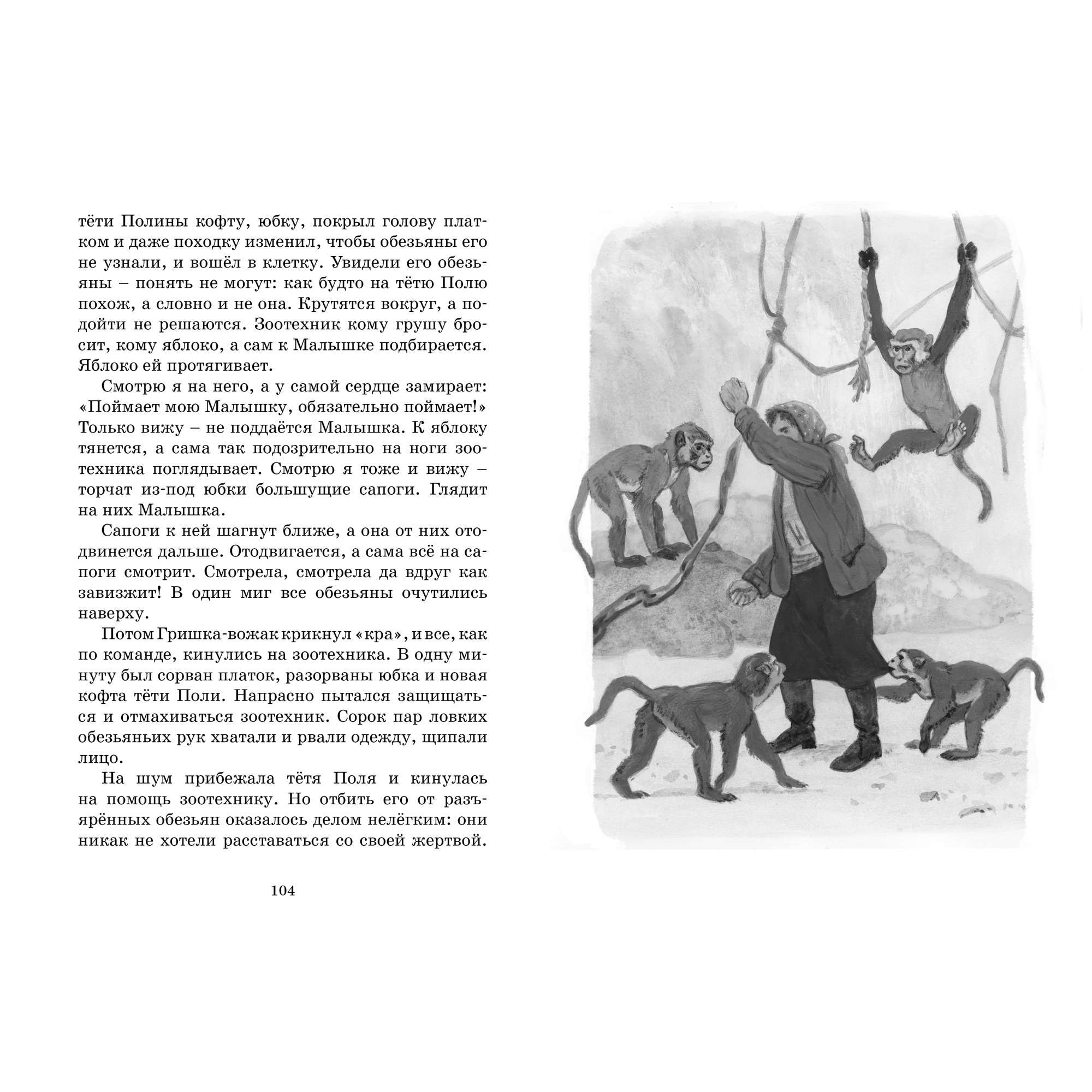 Книга МАХАОН Фомка - белый медвежонок Чаплина В. - фото 7