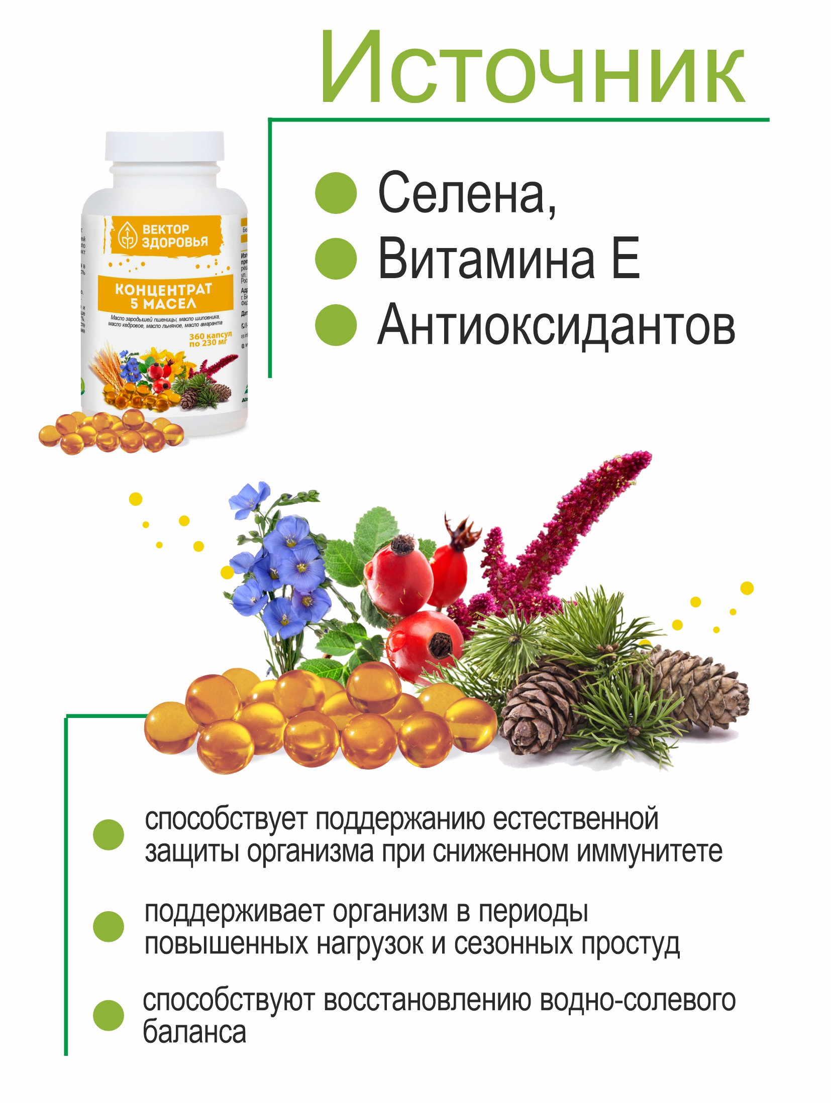 Комплекс масел Алтайские традиции Стойкий иммунитет 360 капсул - фото 3