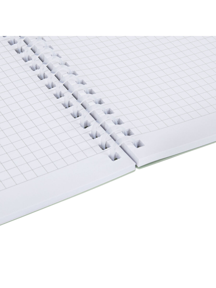 Общая тетрадь Brauberg клетка 80 лист. - фото 7