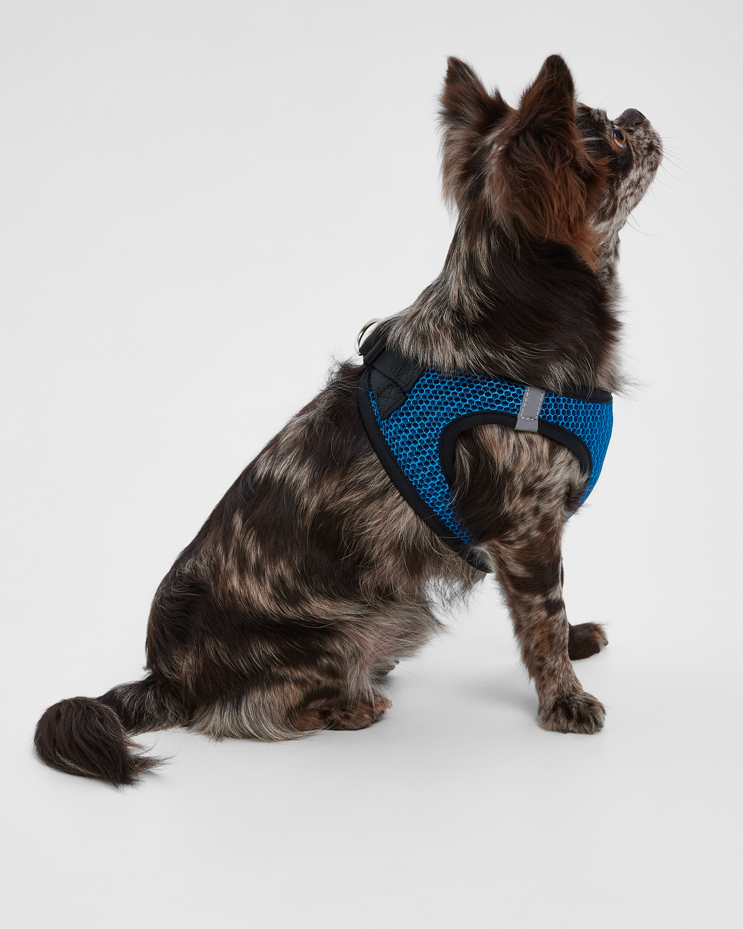 Шлейка-жилетка для собак Barbaks синяя сетка M 18*42-48см полиэстер - фото 8