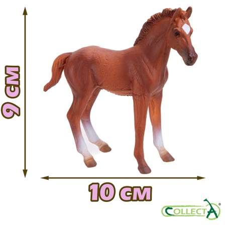Игровой набор Collecta