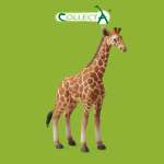 Фигурка Collecta Жеребенок Сетчатого Жирафа