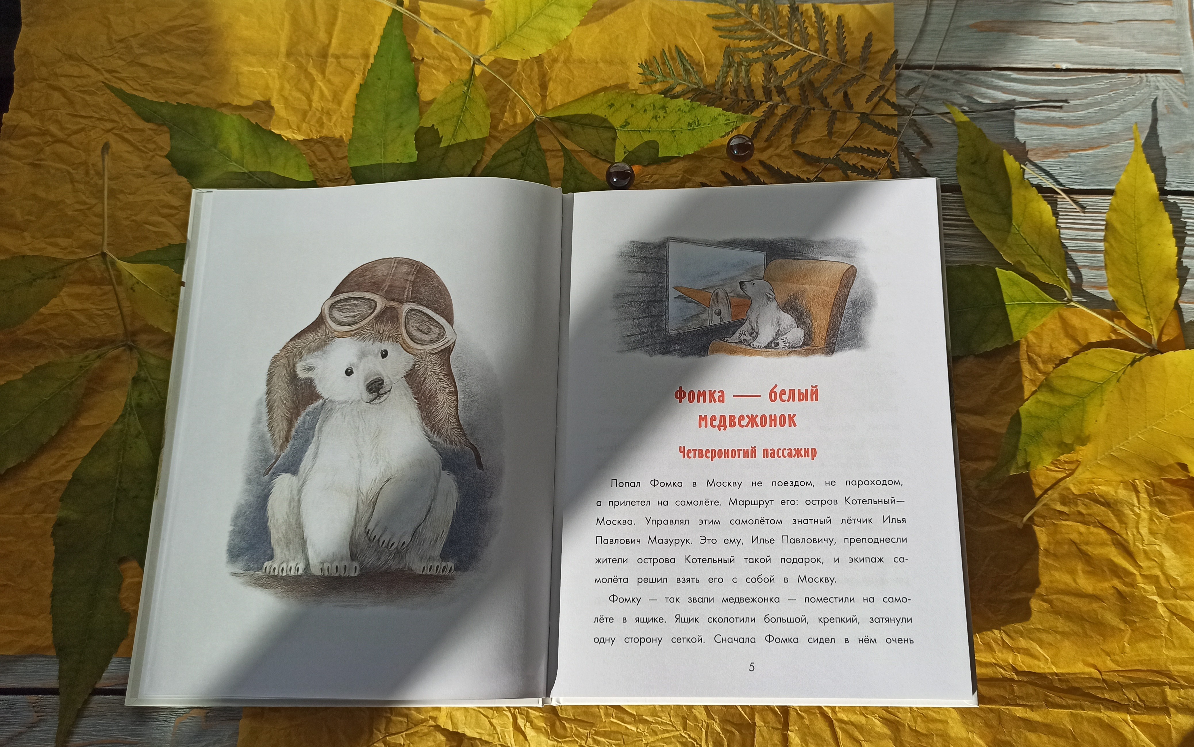 Книга Качели Фомка - белый медвежонок - фото 8