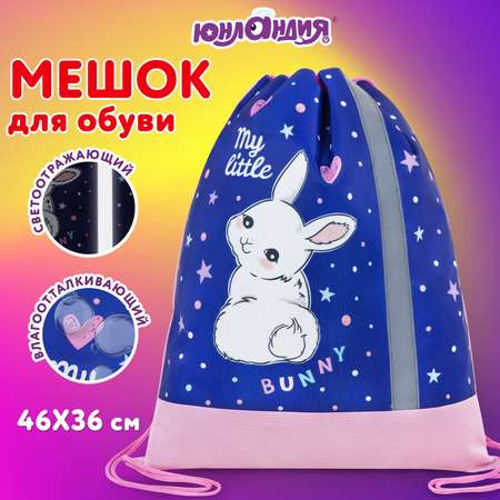 Мешок для обуви Юнландия