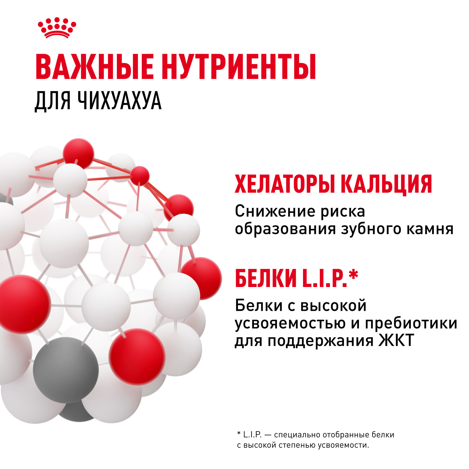 Корм для собак ROYAL CANIN породы чихуахуа 1.5кг - фото 5
