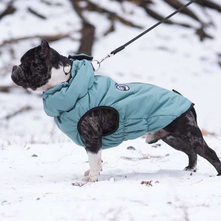 Жилет для собак Rain Dog