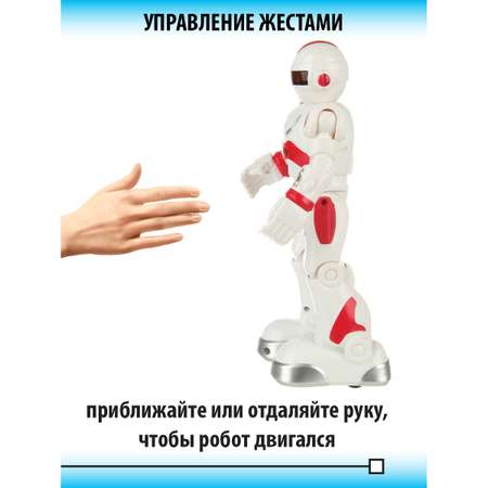 Робот РУ Veld Co