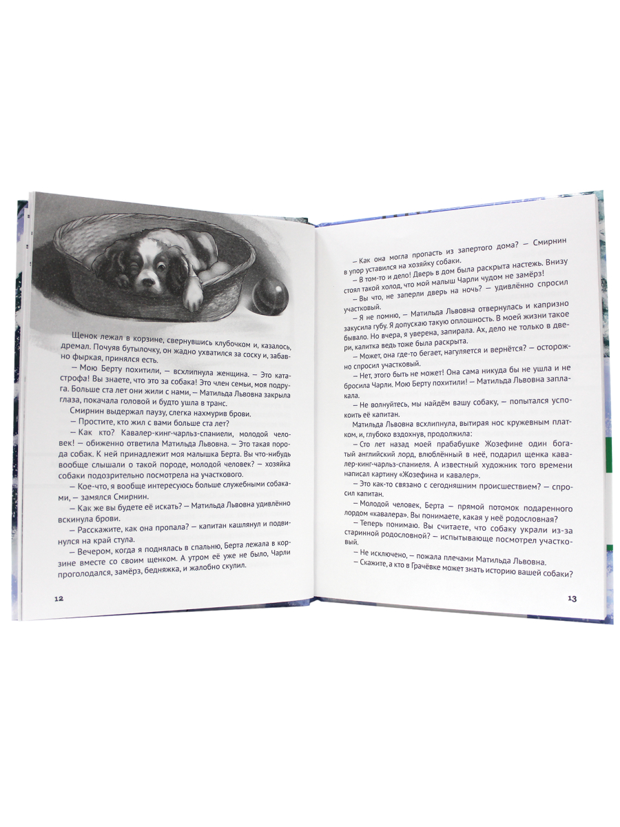 Книга Проф-Пресс Детский детектив. Дело о похищенной собаке - фото 5