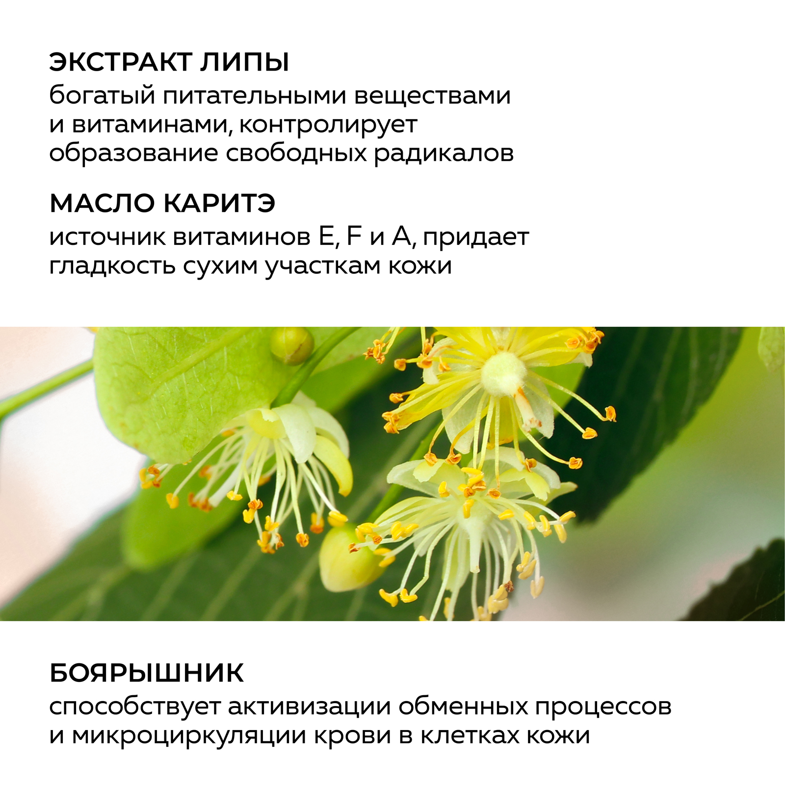 Крем Green Mama Биорегенерация 100 мл - фото 4