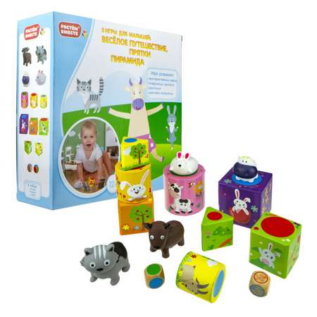 Игрушка 1TOY сортер