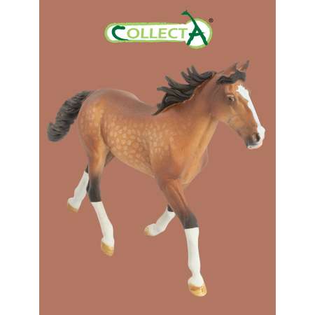 Фигурка Collecta Лошадь стандартбредный жеребец