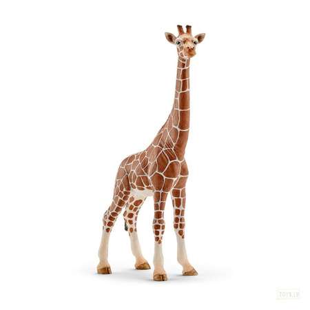 Игровой набор SCHLEICH