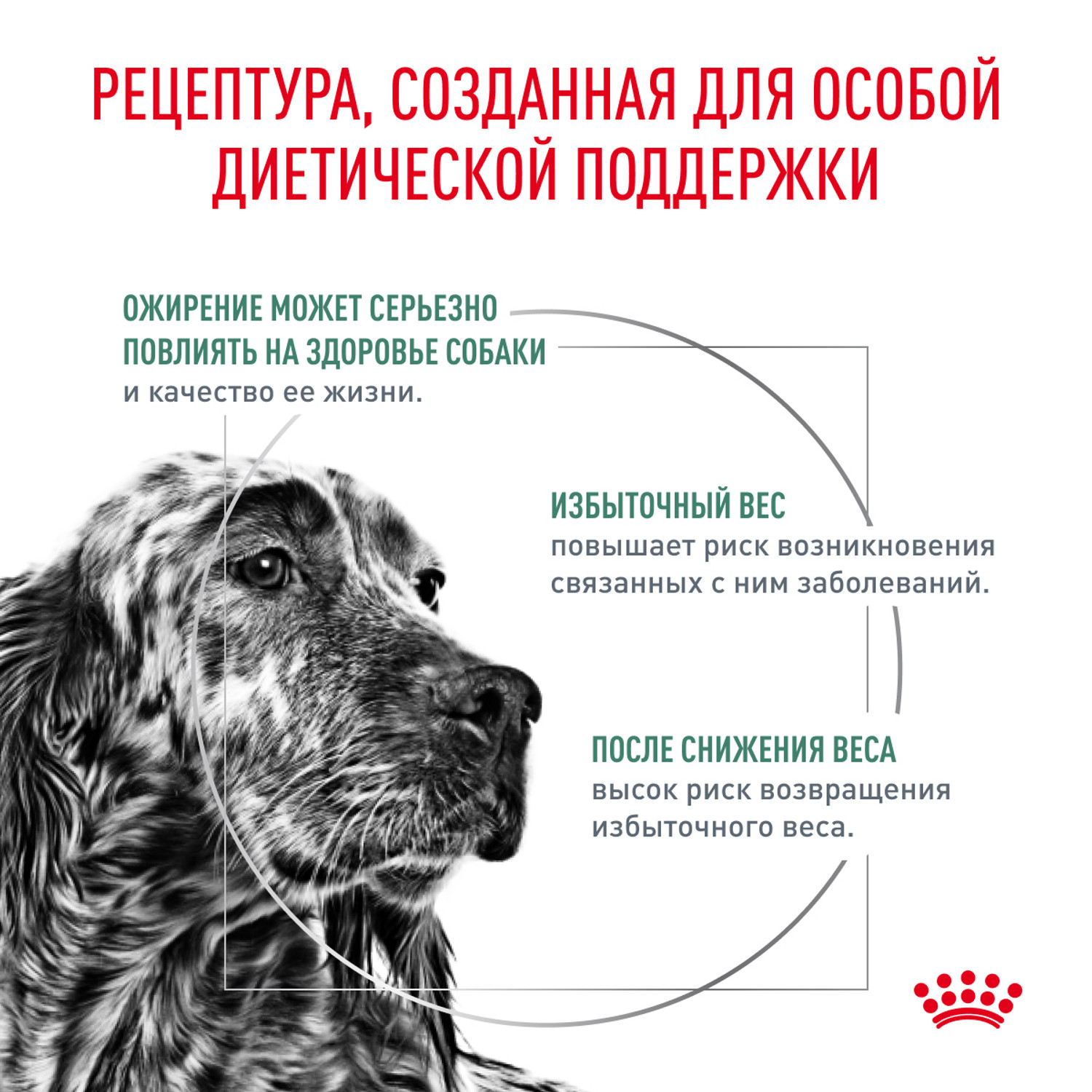 Корм для собак ROYAL CANIN Satiety management 30 контроль веса 1.5кг - фото 2