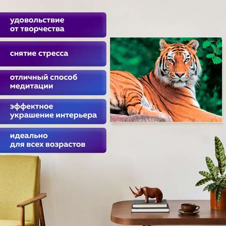 Алмазная мозаика Остров Сокровищ Тигр