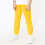 Изображение товара Брюки Утенок: 110