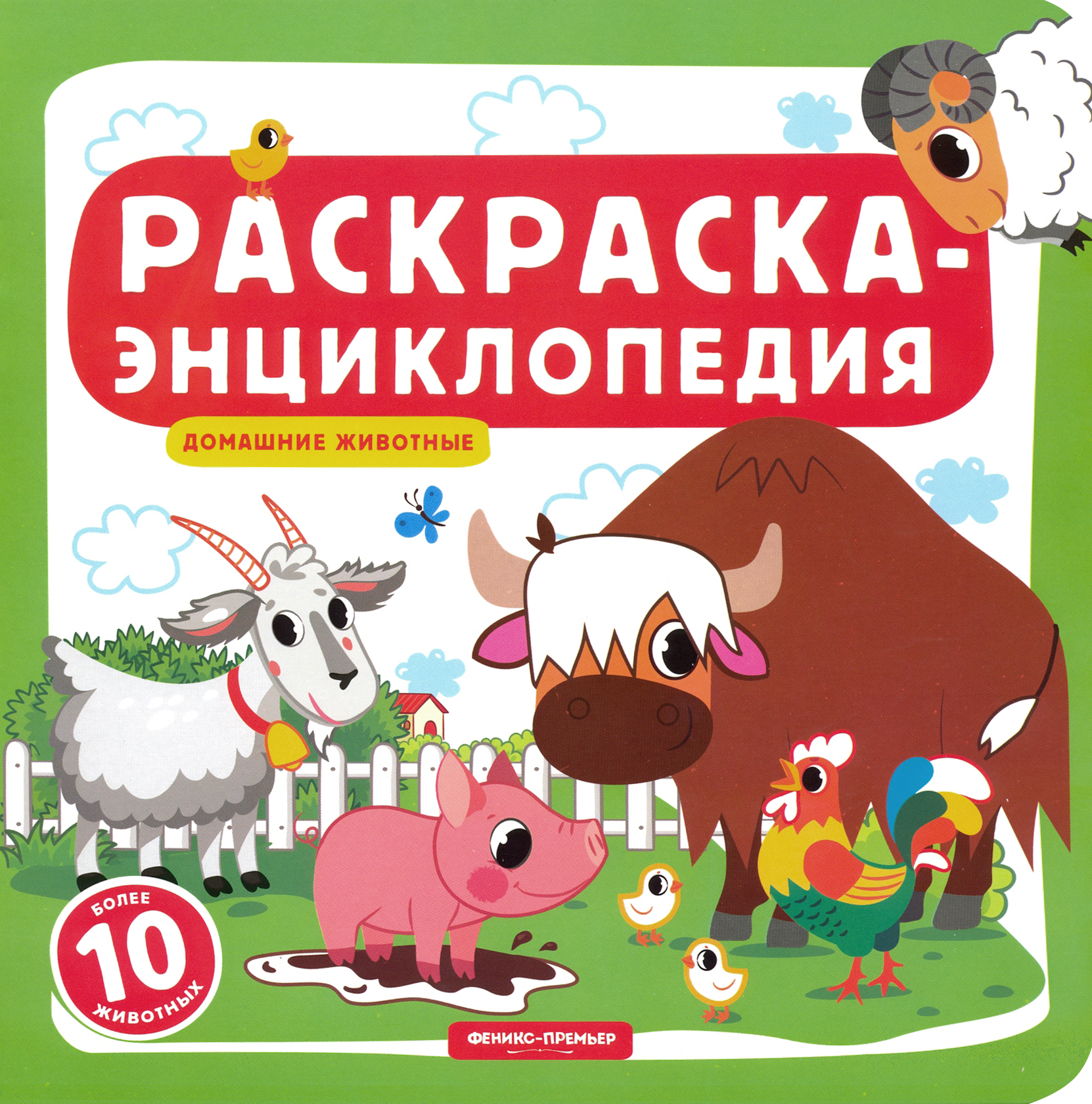 Книга Феникс Премьер Домашние животные Книжка-раскраска - фото 1