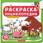 Книга Феникс Премьер Домашние животные Книжка-раскраска
